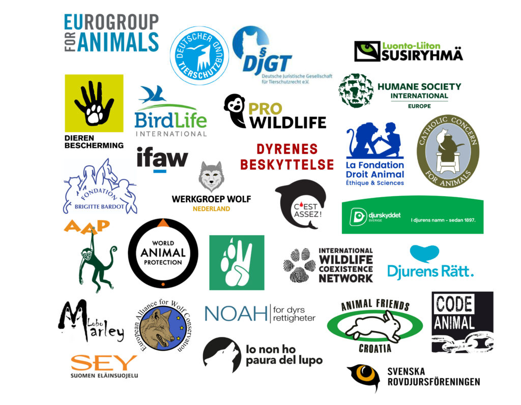 Bild på logotyper från samtliga organisationer som skrivit under gemensamt brev till EU mot varg- och lodjursjakten.