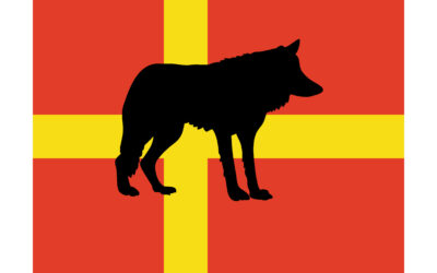 Skyddsjakt på skånsk varg stoppad av Svenska Rovdjursföreningen