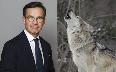 Öppet brev till statsminister Ulf Kristersson