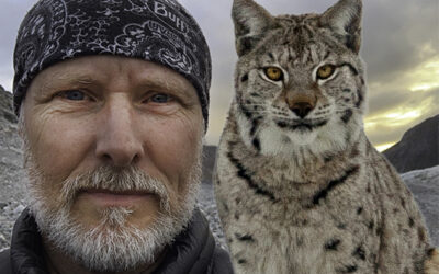 Föreningens generalsekreterare om lodjursjakt på SVT