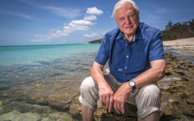 David Attenborough 100 år!